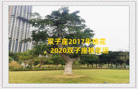 双子座2017年桃花，2020双子座桃花运