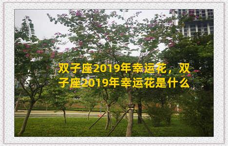 双子座2019年幸运花，双子座2019年幸运花是什么