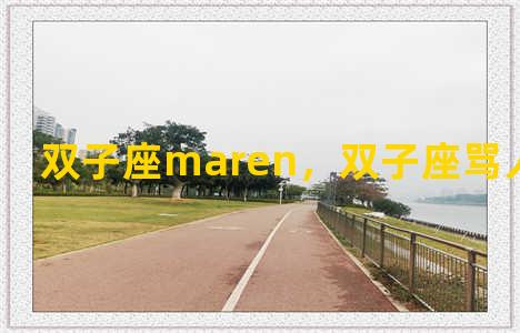 双子座maren，双子座骂人的口头禅