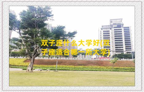 双子座什么大学好(双子座适合哪一所大学)