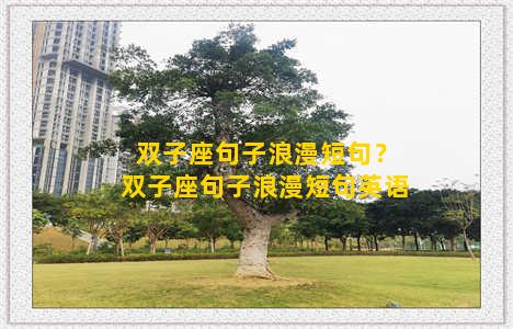 双子座句子浪漫短句？双子座句子浪漫短句英语