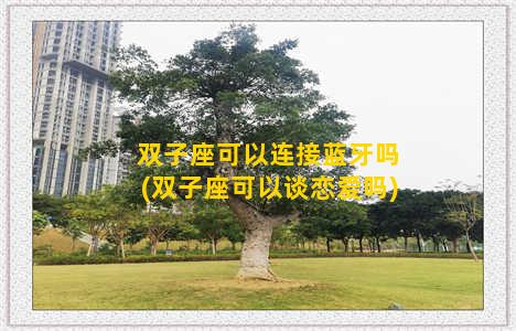 双子座可以连接蓝牙吗(双子座可以谈恋爱吗)