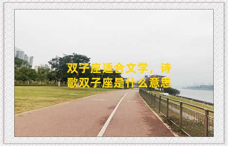 双子座适合文学，诗歌双子座是什么意思