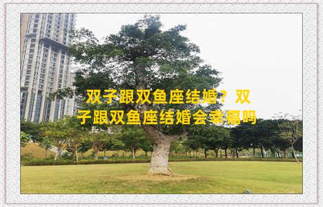 双子跟双鱼座结婚？双子跟双鱼座结婚会幸福吗