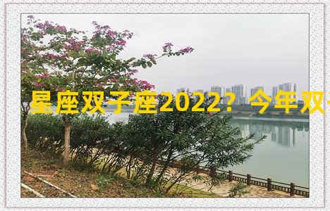 星座双子座2022？今年双子座运势